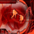 灯光秀.png